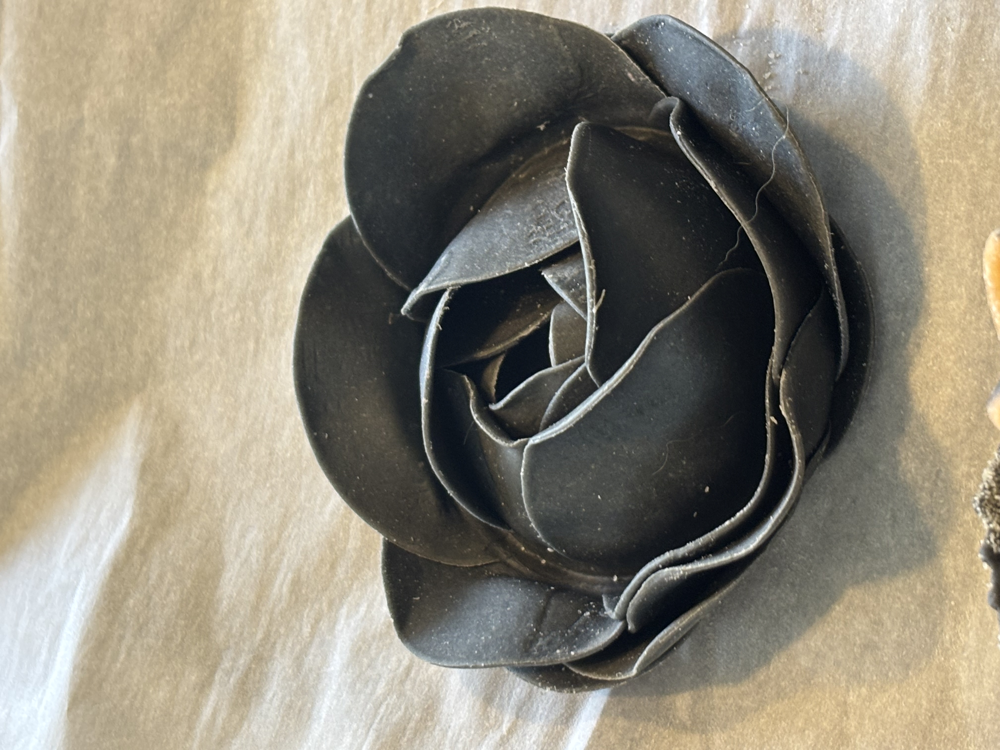 Charcoal Pasta